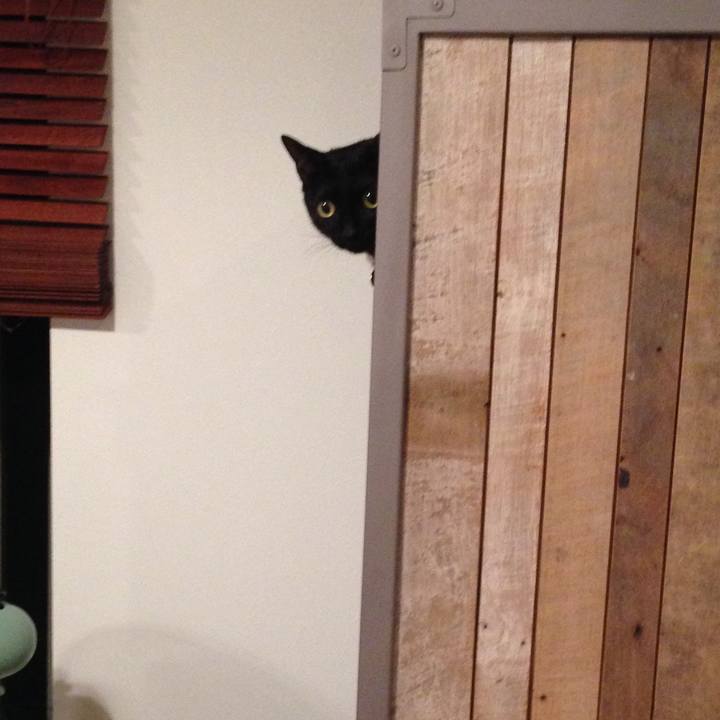 8d91feb8 9d2e 40e2 8f42 855c21122cfd