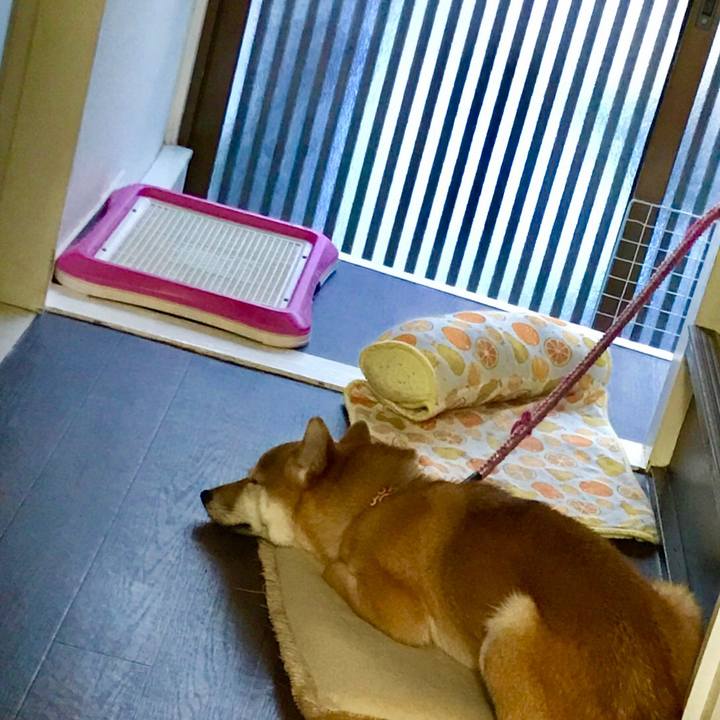 8d924329 2107 49c9 a1d3 c66456454cd5