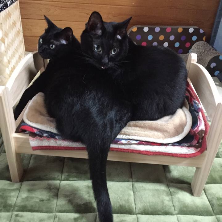 8d92c371 4353 4730 b032 bbb00e3ffe44