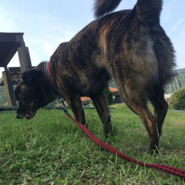 8d940118 10c3 4461 983e 130bb54e59bc