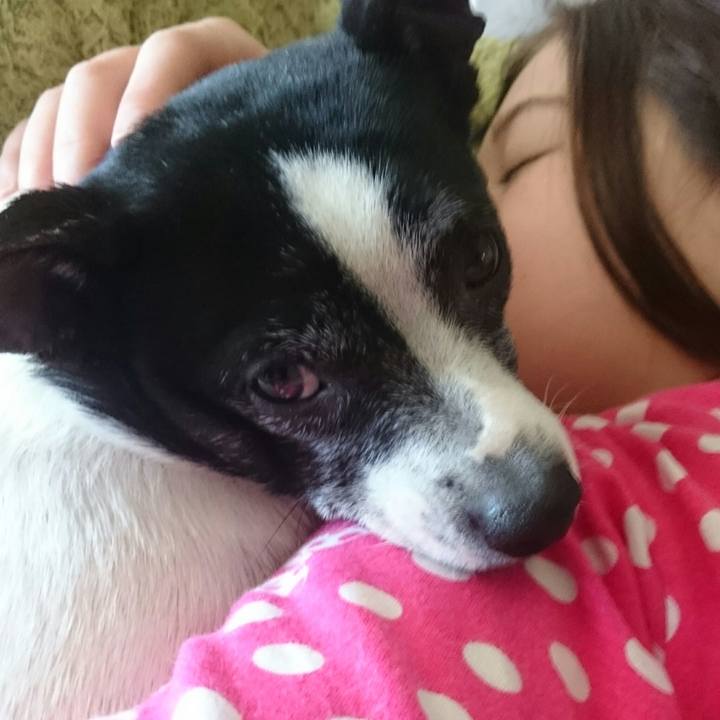 8d945163 20e1 4508 9435 801410cb7d94