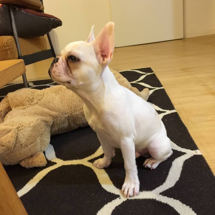 8d94ddaf 5ee9 4165 8d77 88fc07f288d4