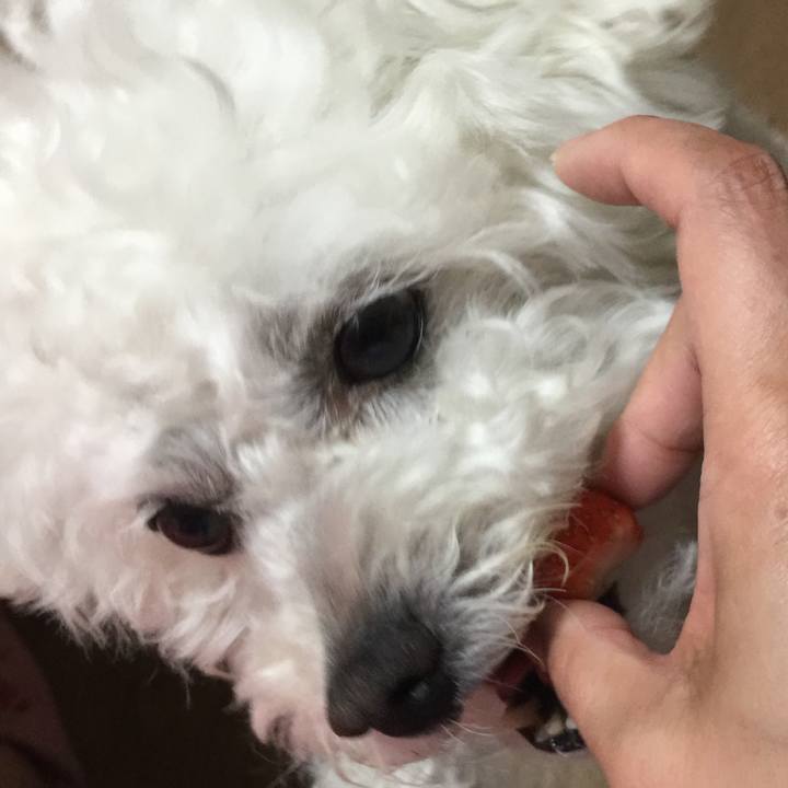 8d962343 4b43 4d5b 842c 95041bea6d45