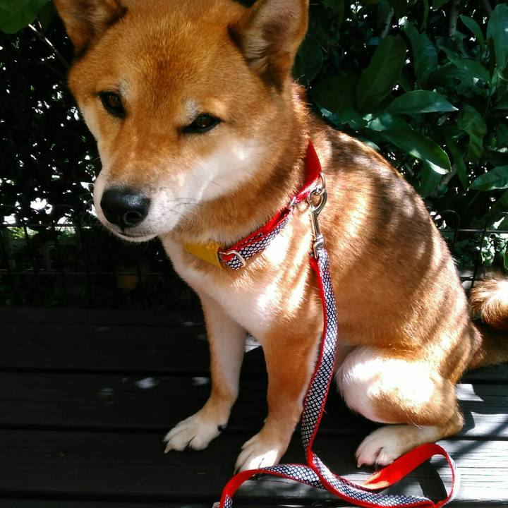 8d964b5f cd4a 4de6 8d72 008ba64f7270