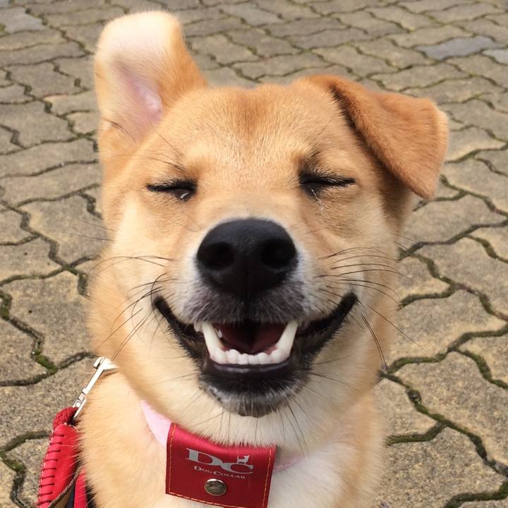 8d964cbc 01bf 4720 ae75 7628215807c7