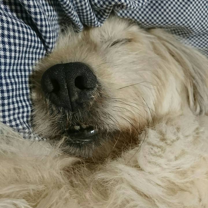 8d9699ca 1d22 473a b54e b78c99cc6ccc