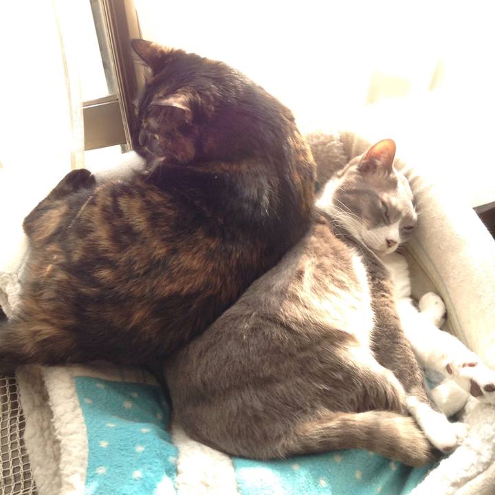 8d96dea1 d5e3 4093 ad3a 5cecb3822630