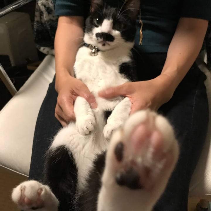 8d96f200 992e 4074 b8dc abe0a61423de