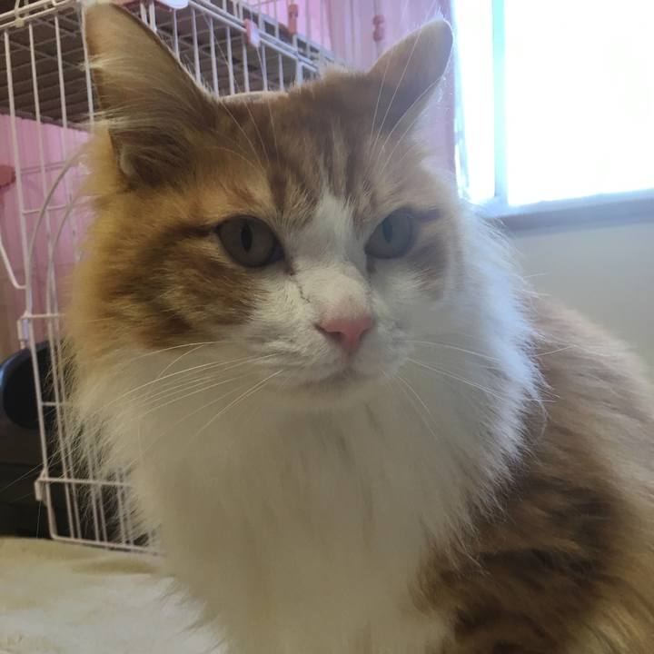 8d97295b 759a 4fbf a6d0 b6c47439b315