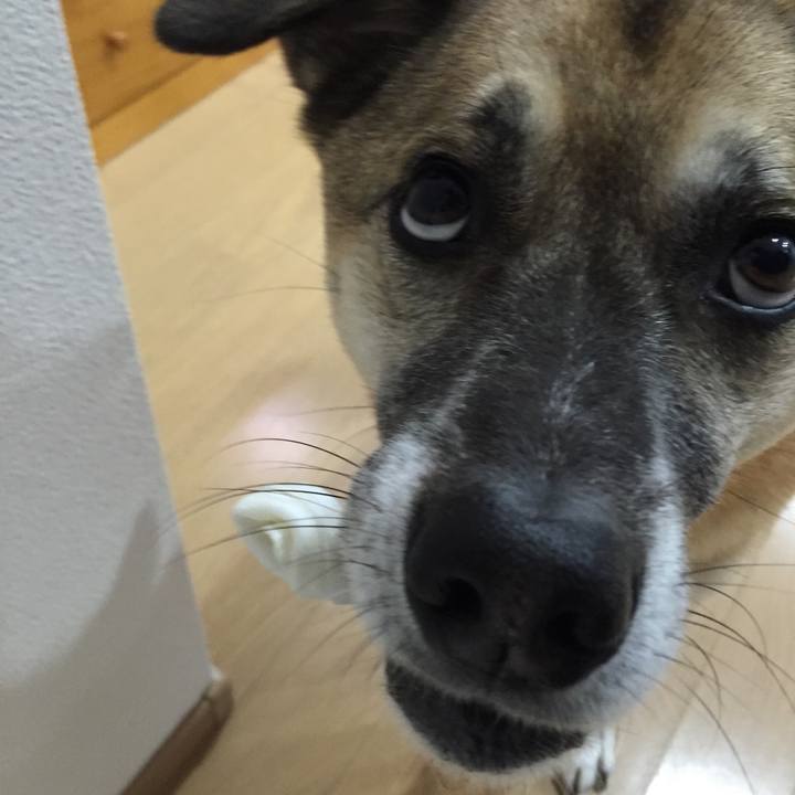 8d9741b1 a026 494a a061 e9df21d59c4b