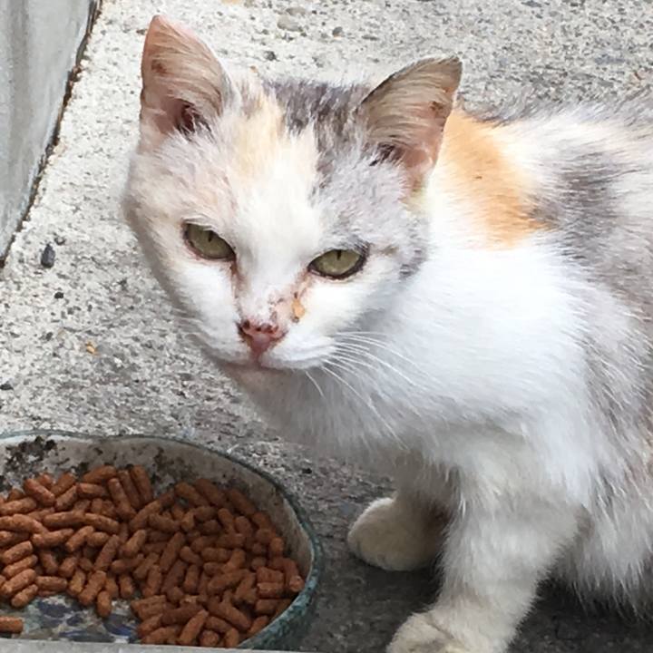 8d99dd4c 363c 4478 b0ae 4120b59d9ac3