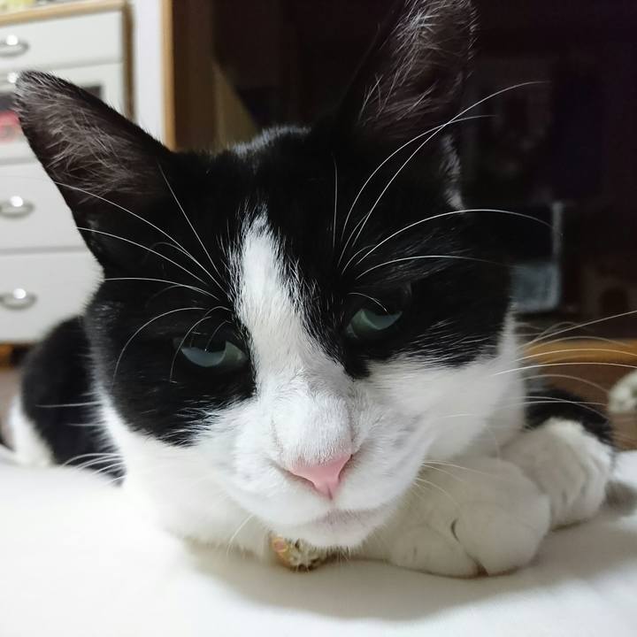 8d99f224 531d 49f1 8d37 5113bbf265eb