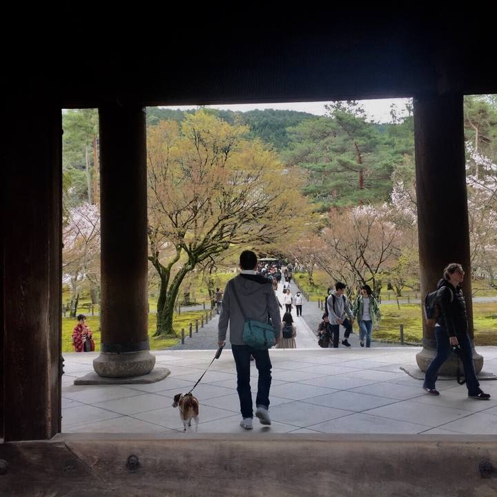 8d9b36ee 4146 4de2 9316 cc371310f504