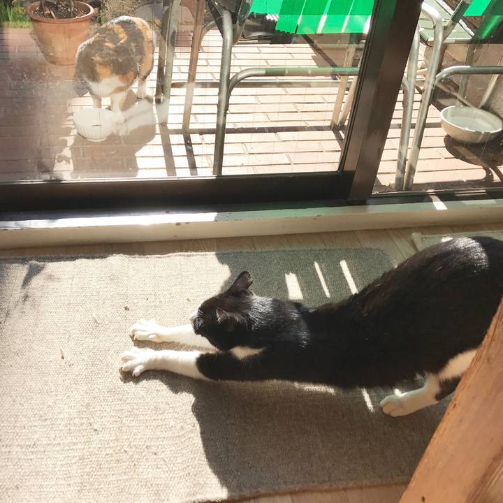 8d9b831f 4f6f 49ef b1d2 922455e71999