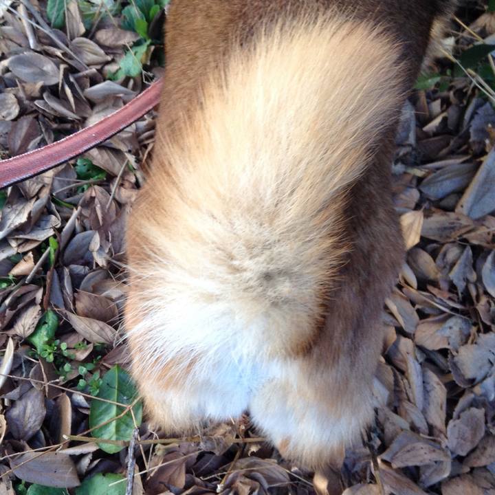 8d9b8fb8 8a1c 454d b271 6cd85e06aa7d