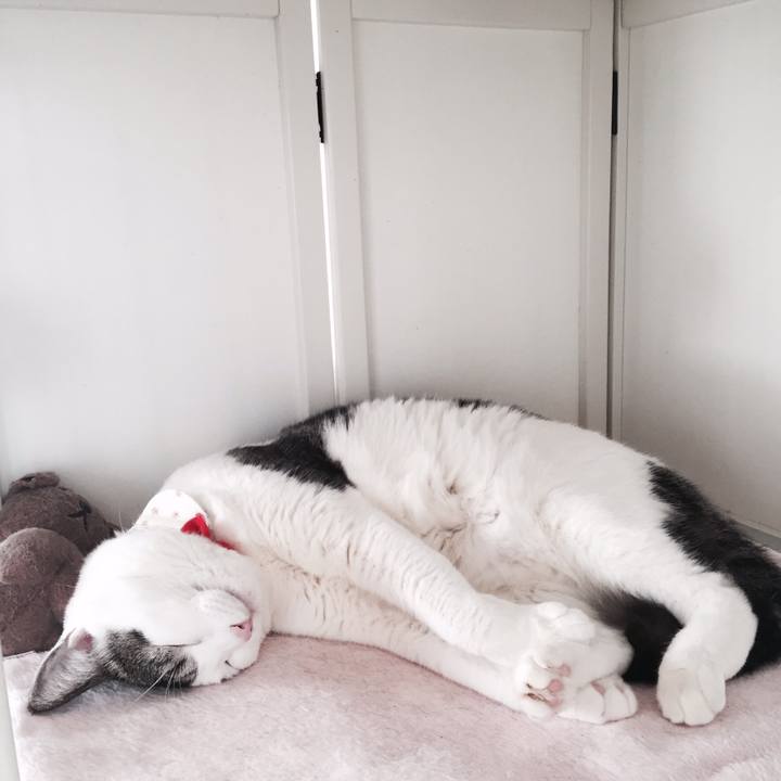 8d9bb5be 3ab7 47c7 9ca5 3e8866ca1548