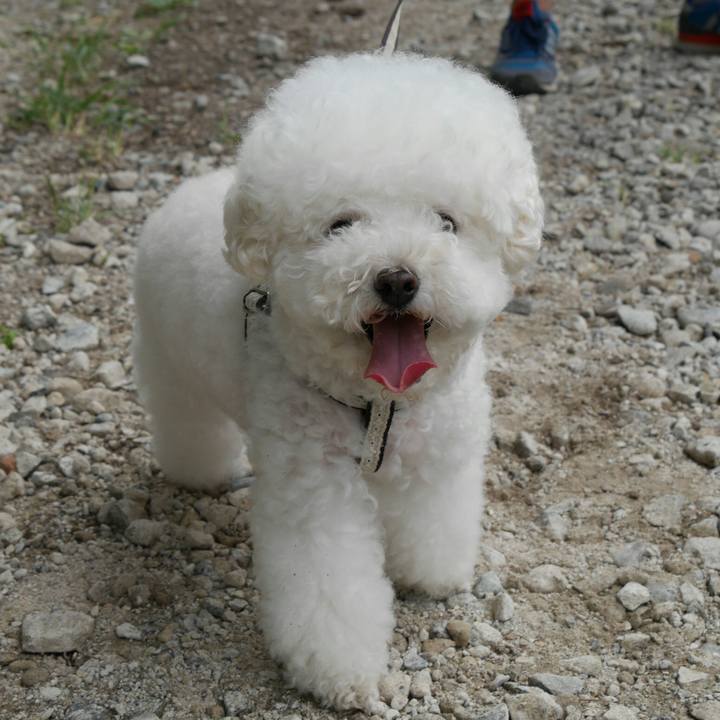 8d9c21df 9654 4a4a 8f01 076e6c6a78b6