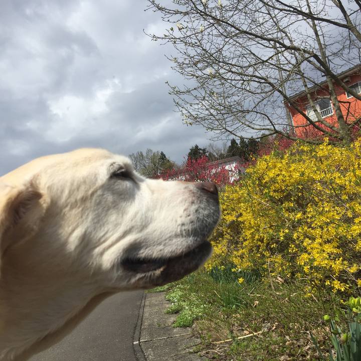 8d9d2605 5515 4808 886e 2e5e28872a60