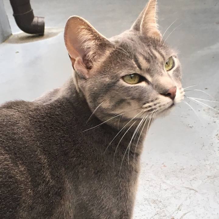 8d9d4a2a 957c 424e ab40 46565b1e3e71