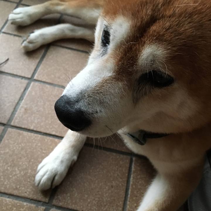 8d9d6e9c 0723 43a6 a182 eedaba0ae332