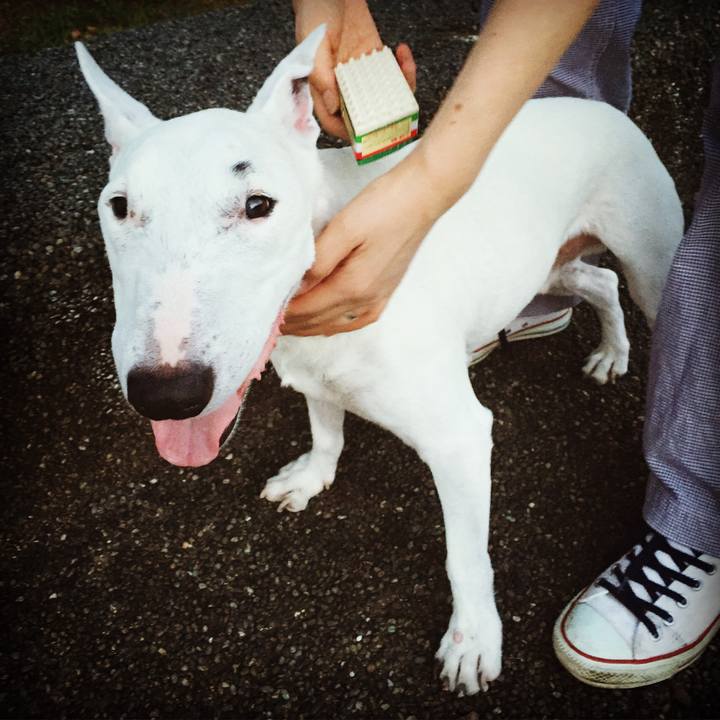 8d9db91a c50f 4c69 a628 6247feb11152