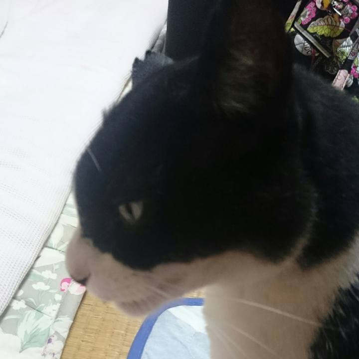 8d9de454 2e15 42a5 8d6d 2bdca6d18a2b