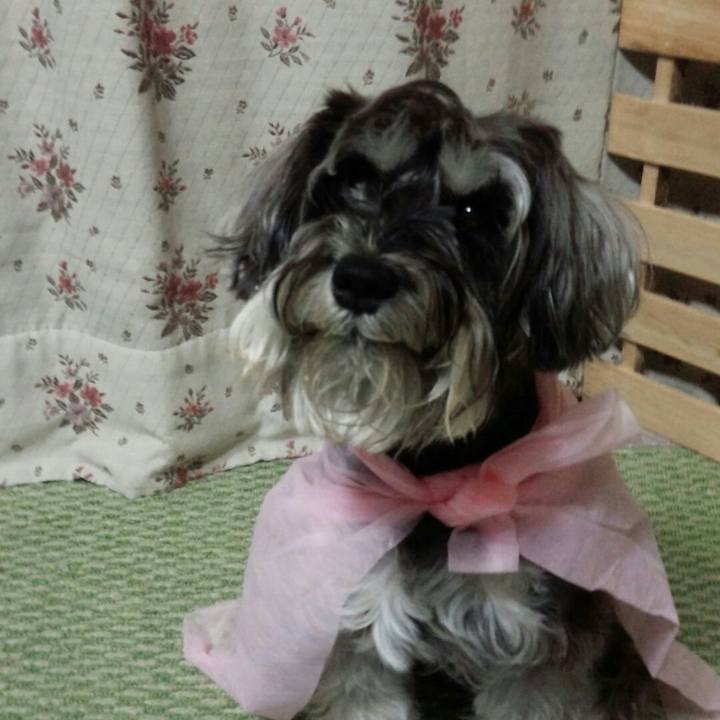 8d9ea5de b1eb 4d16 8644 16433f8da3d6