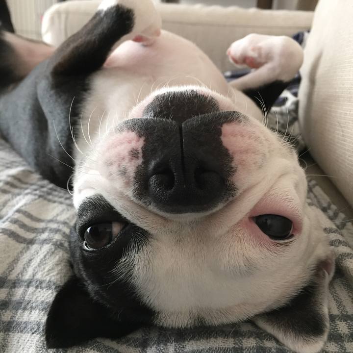 8d9f263f 5669 4dc6 ba22 6a36c1645e51