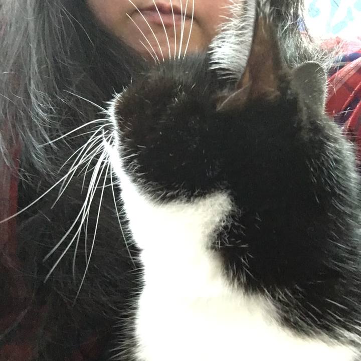 8d9f39ab b235 451b 9797 782140bae804