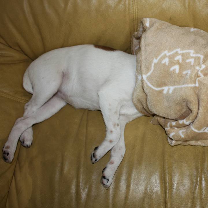 8d9f96b0 7723 41cc a45b f90e71e65e39