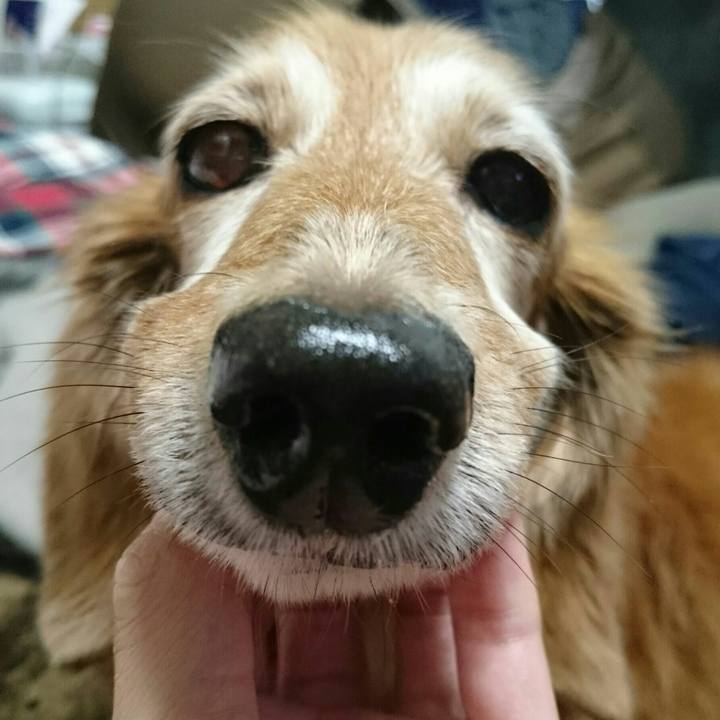 8da04291 714f 494c bf7f ddda6513b3f8