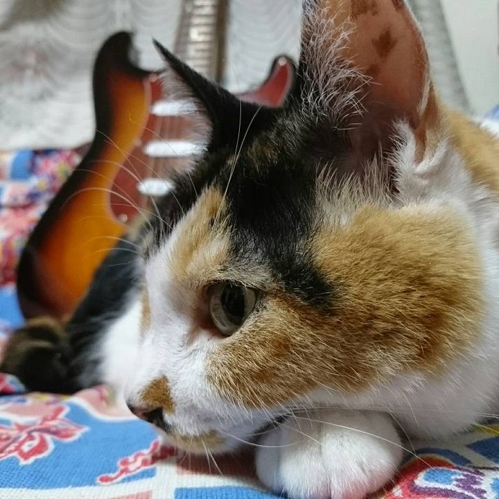 8da10db0 87cd 46a4 8bf3 1b809852b3ba