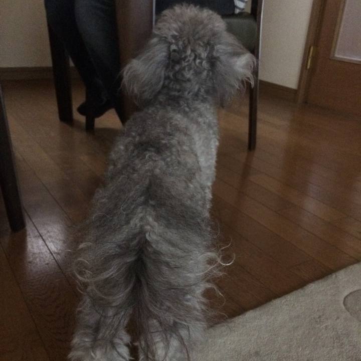 8da19576 8ffb 4f3f 9ba0 604fbfad3c94