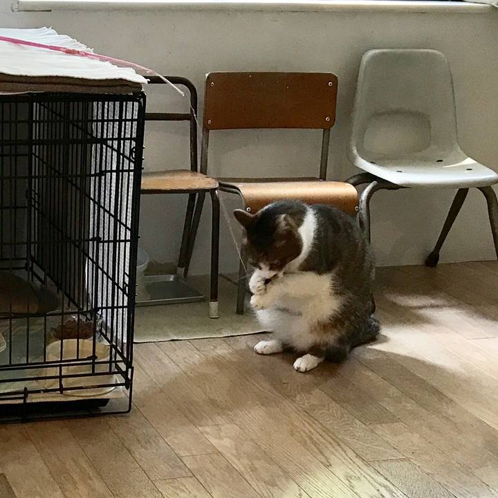 8da1f2fd c532 48fa bbe6 17af36c3ff21