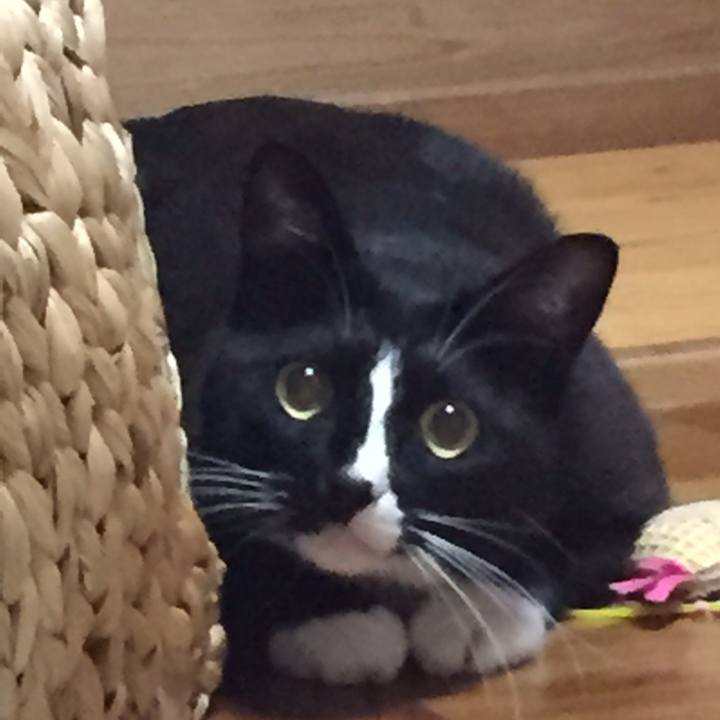 8da21e24 4a19 4a1f 9761 e0b9716fe2d9