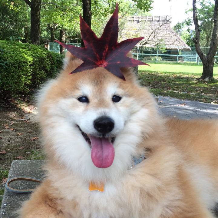 8da3412c ed64 4eef a57d 87845ee96de9