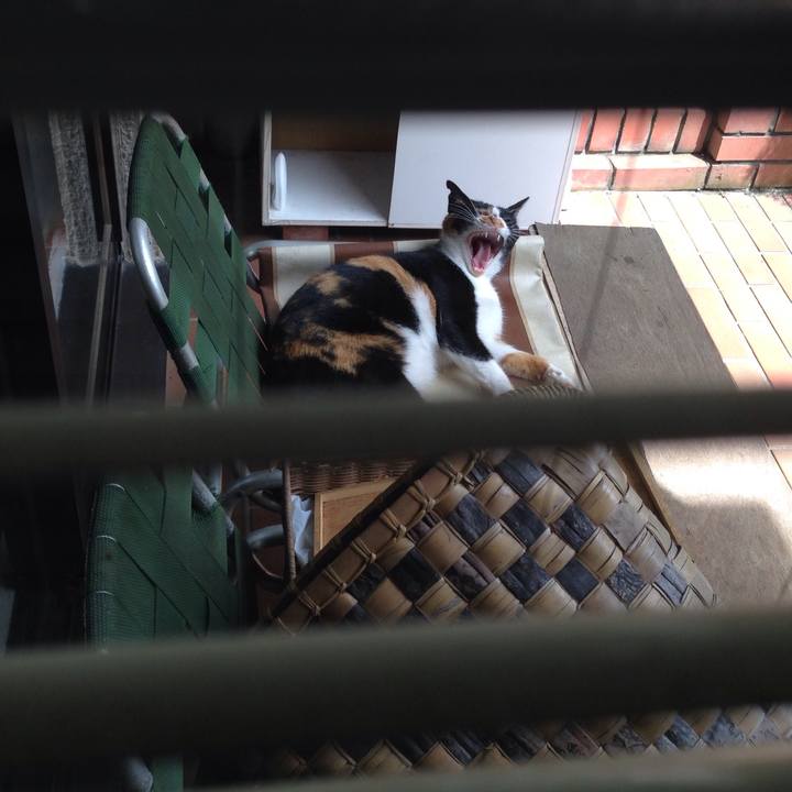 8da3659c 20fb 44db a119 d212f2ecb5ba