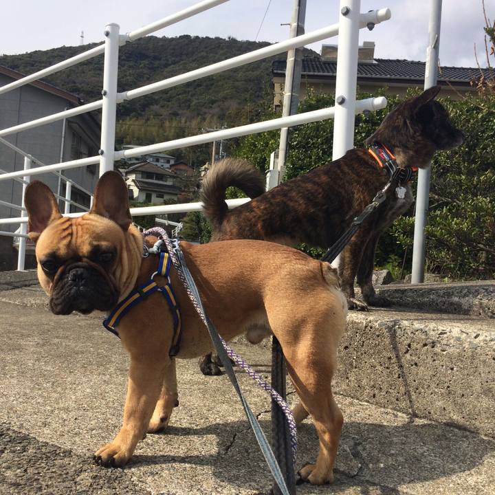 8da3b776 efdd 463a aab6 acefdbee493b