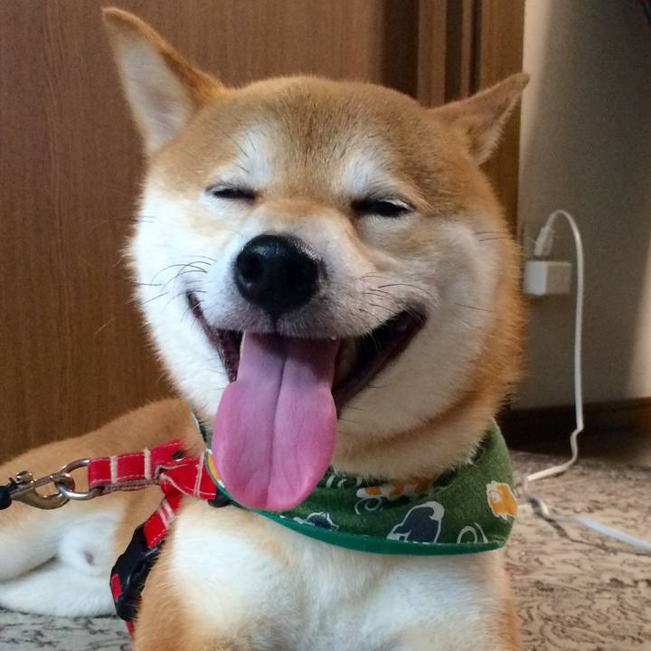 8da3fbda 4b9f 41f7 a610 76b2034445b9