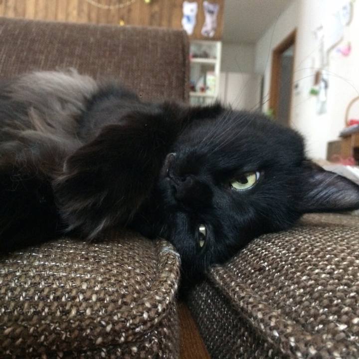 8da48281 b490 4a63 b6c0 3a8b34c74270