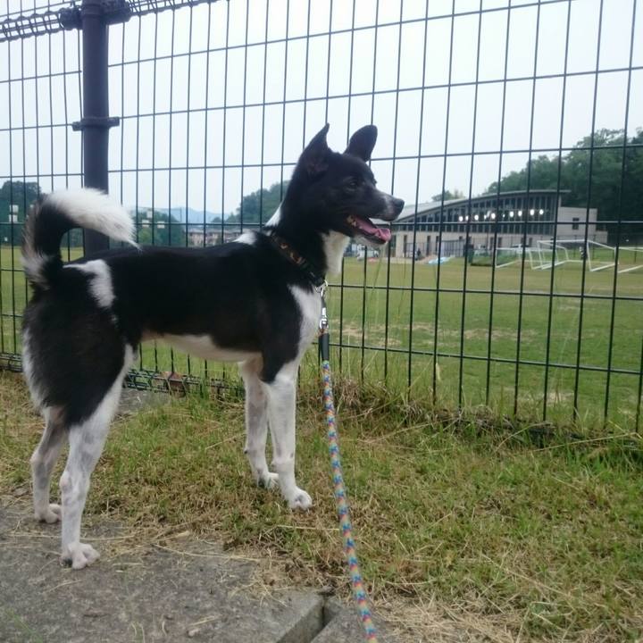 8da5a909 ab23 4f06 b6b3 0c95a80f3f9e