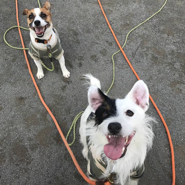 8da5b2af b38a 4547 84f1 f16758898778