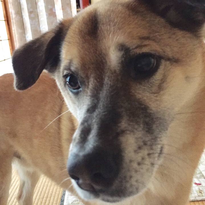 8da5eb10 9552 4c3e 835d 66b6adcb7f13