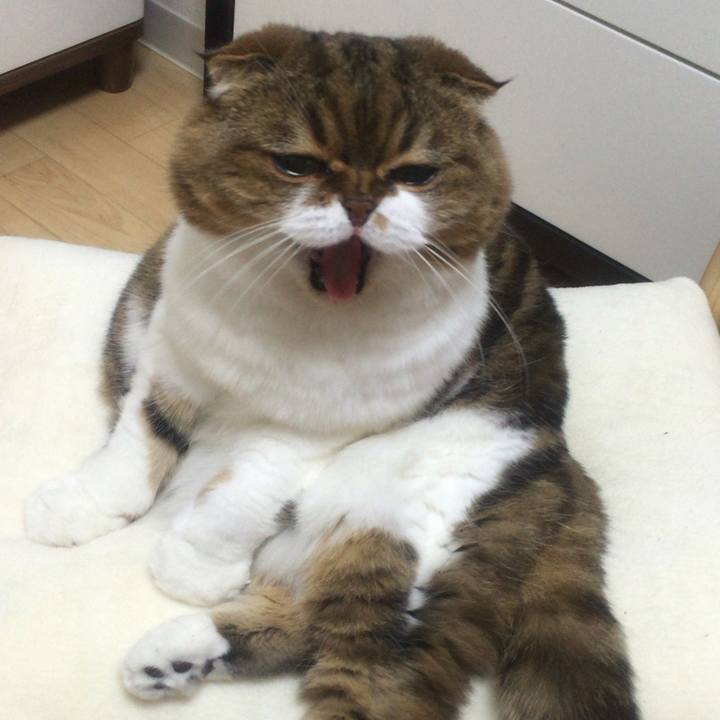 8da5f08e 91a5 4fc5 bcd5 a40d6d50d3cb