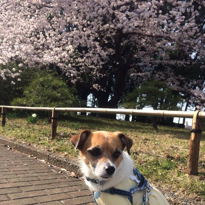 8da62fa1 e135 4cf3 ba6d 4e8fdd002a7e