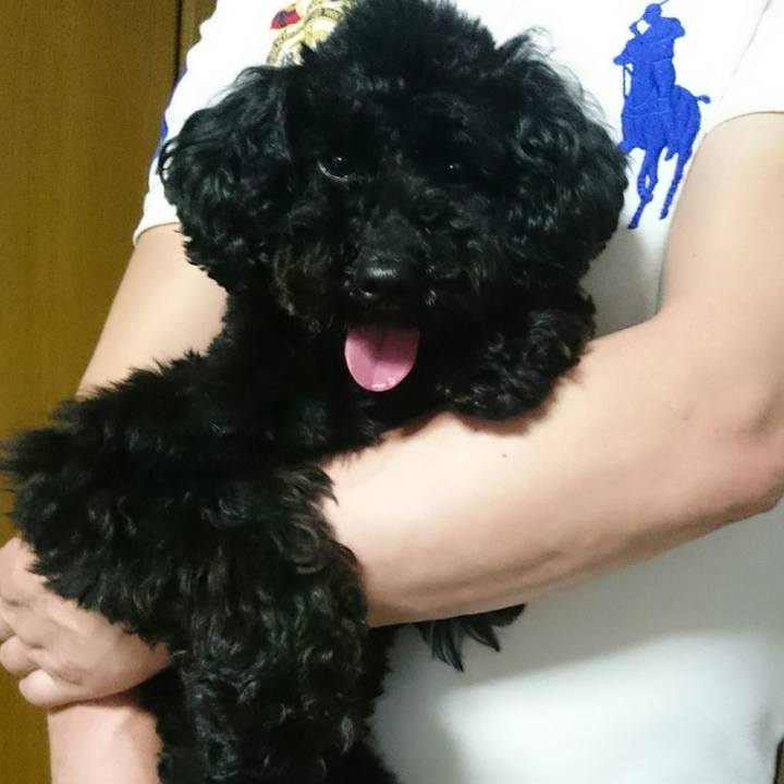 8da67e9a c4ef 48dc a808 94dd4d570b71