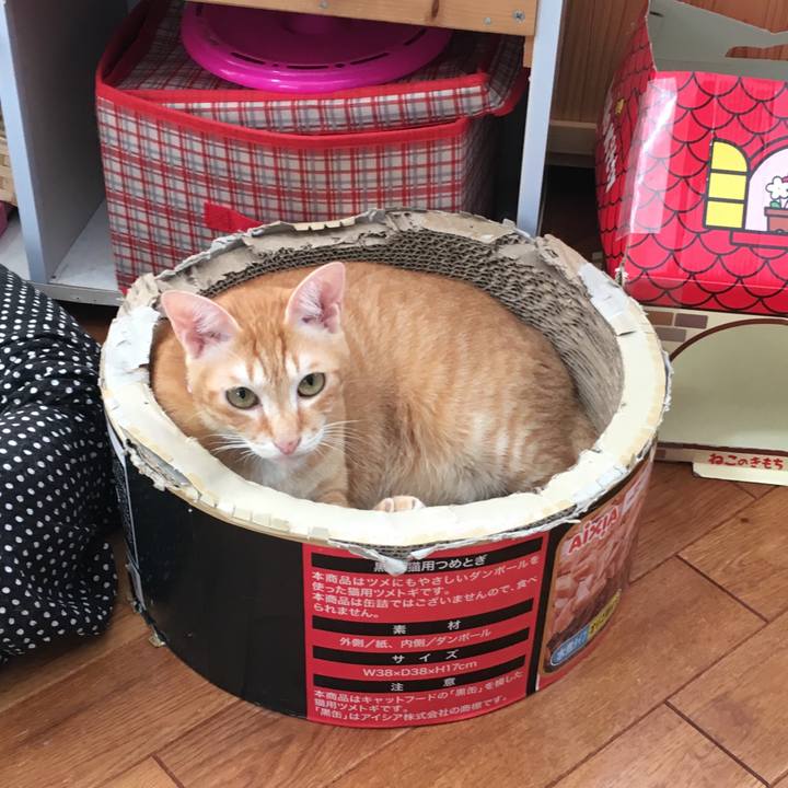 8da6f40f a38b 43b7 97e9 eff45670140f