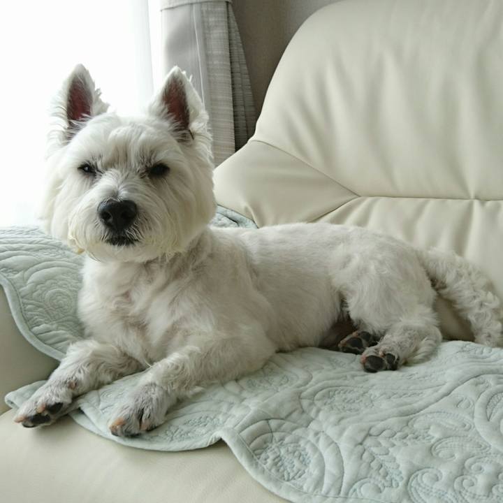 8da77340 f2ba 4da9 bac6 aa8236954f56