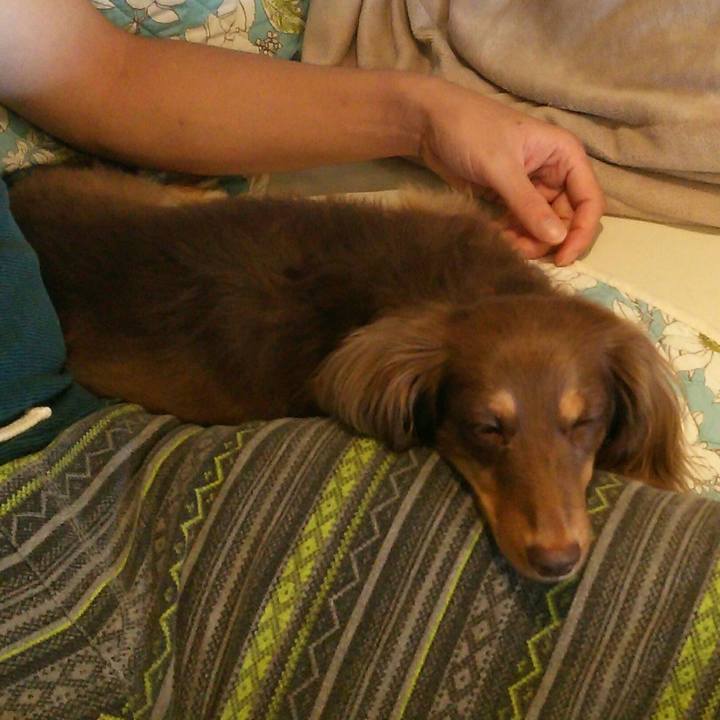 8da79350 697a 4548 b10d 5d5b7c626ec2