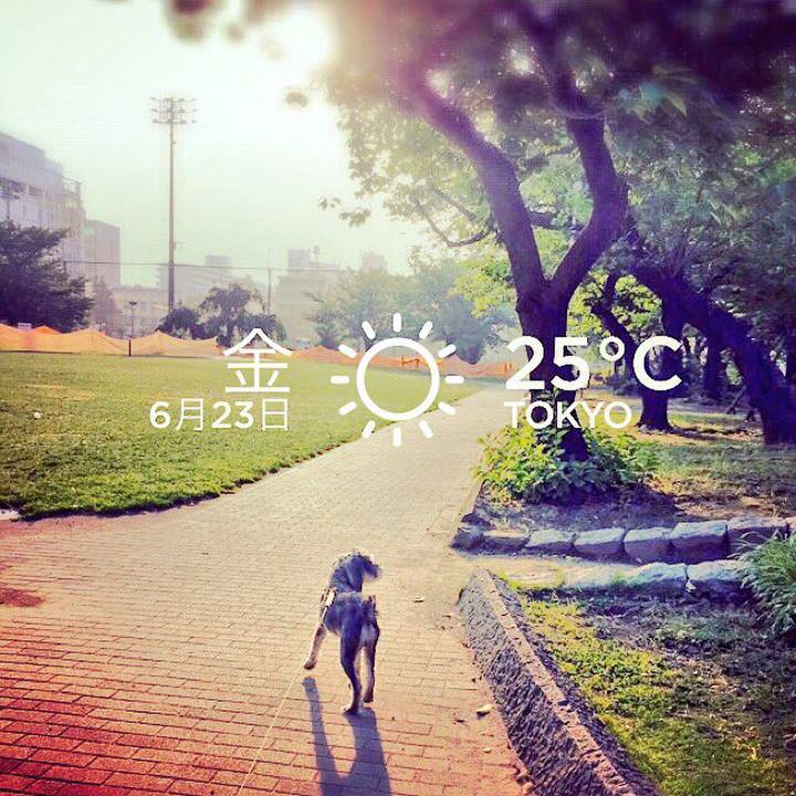 8da7ab0d 9e5b 4d90 a686 95f1de7ab7d6